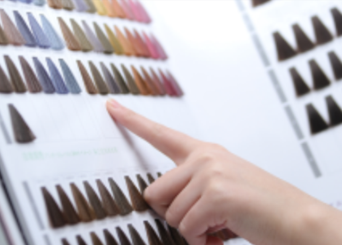 Color proposal system